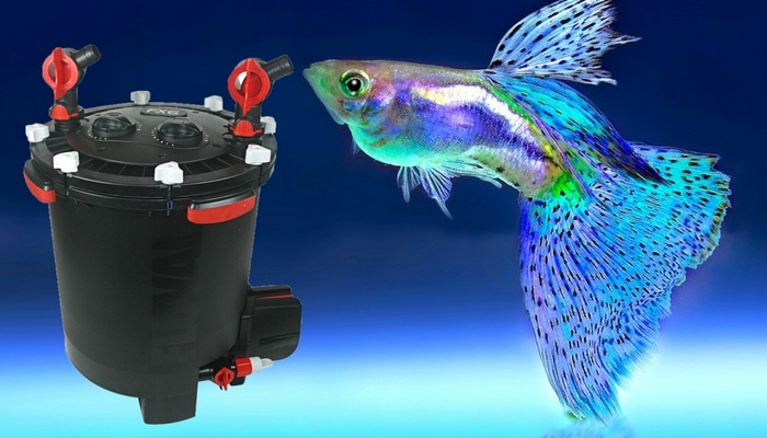 canister filters The Best Equipment For Home Aquariums