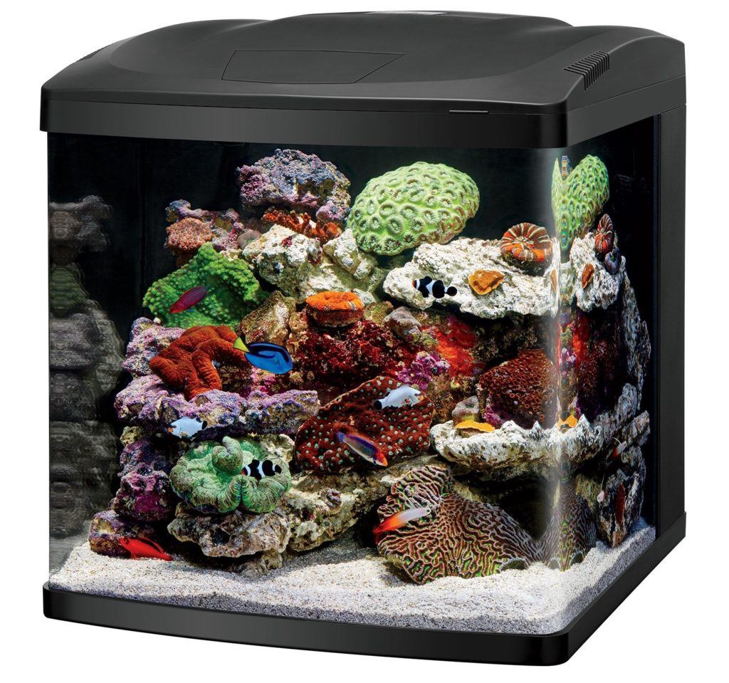best biocube aquarium