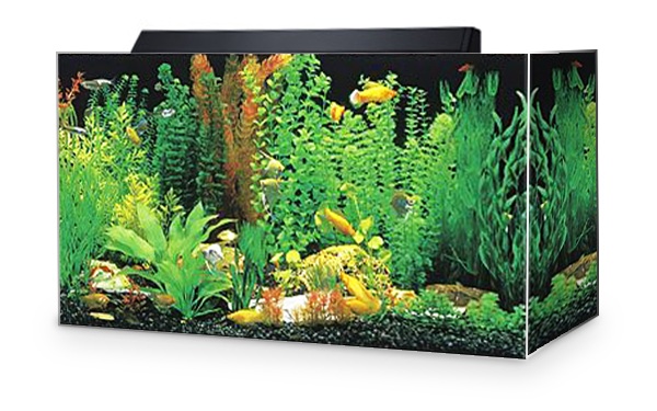 Seaclear Acrylic Aquarium Combo Set Review Fish Care Guide Seaclear Acrylic Aquarium Combo Set Review