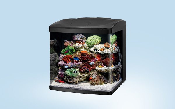 coralife biocube review