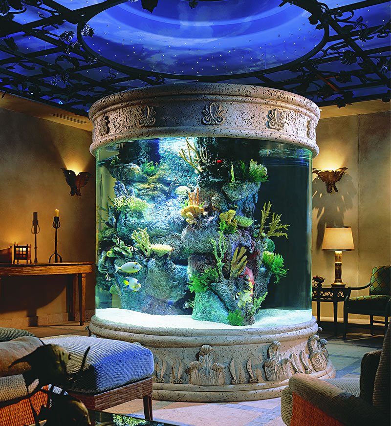 beautiful aquariums