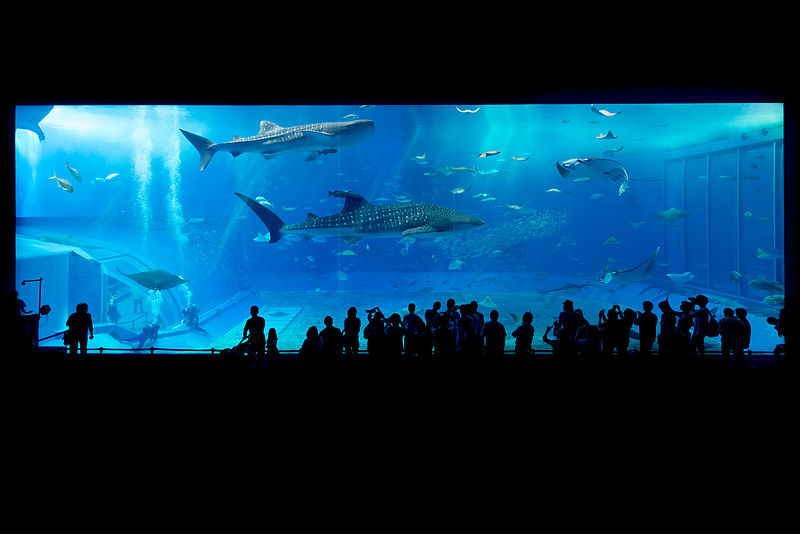 aquariums in japan