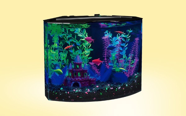 glofish aquarium review