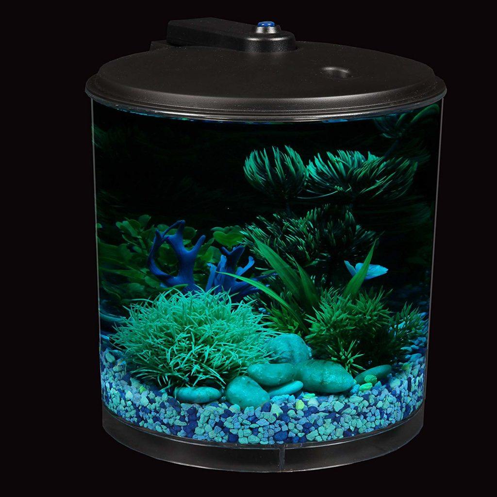 best-small-fish-tank