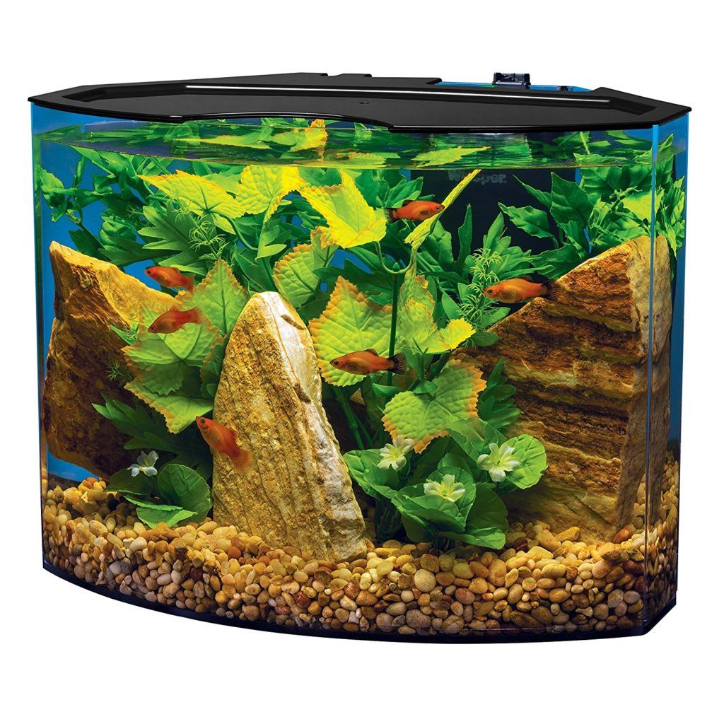 tetra acrylic aquarium