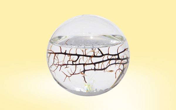 ecosphere review