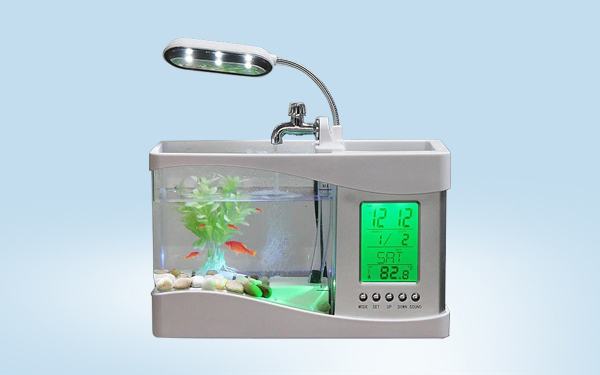 best small fish tank