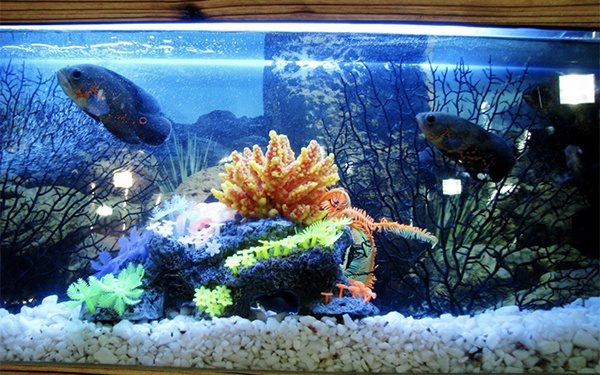 best led aquarium lighitng