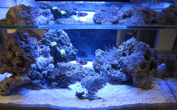 best led aquarium lights