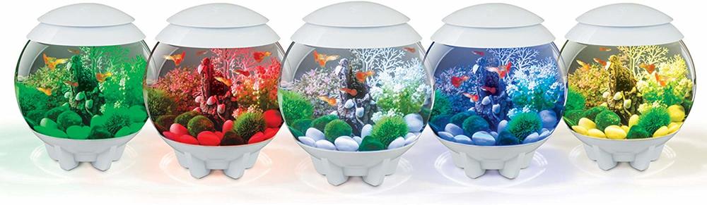 best small aquarium