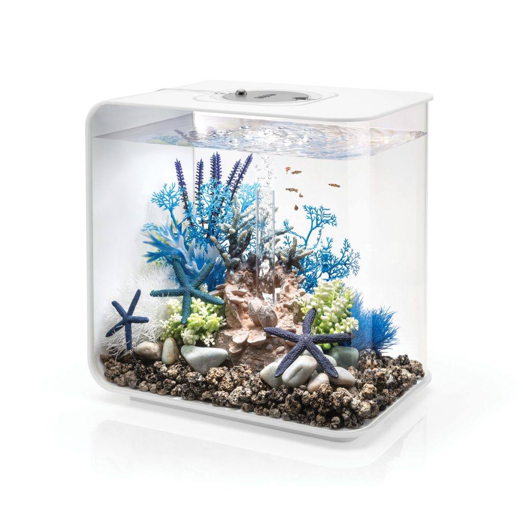 Best nano aquarium