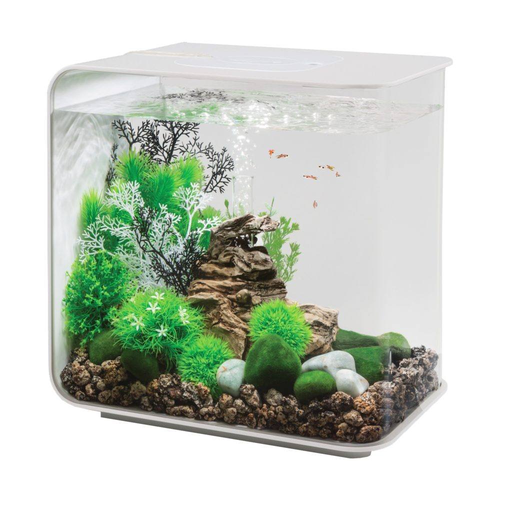 Best small aquarium